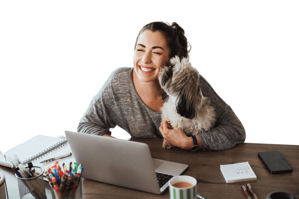 pet product marketing agency
